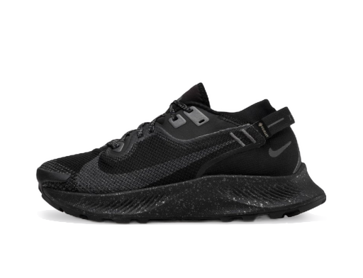 Juoksu Nike Pegasus Trail 2 GTX Musta | CU2016 001