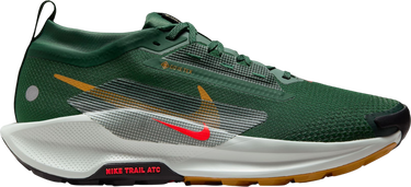 Tennarit ja kengät Nike Pegasus Trail 5 GORE-TEX Vihreä | fq0908-301, 0