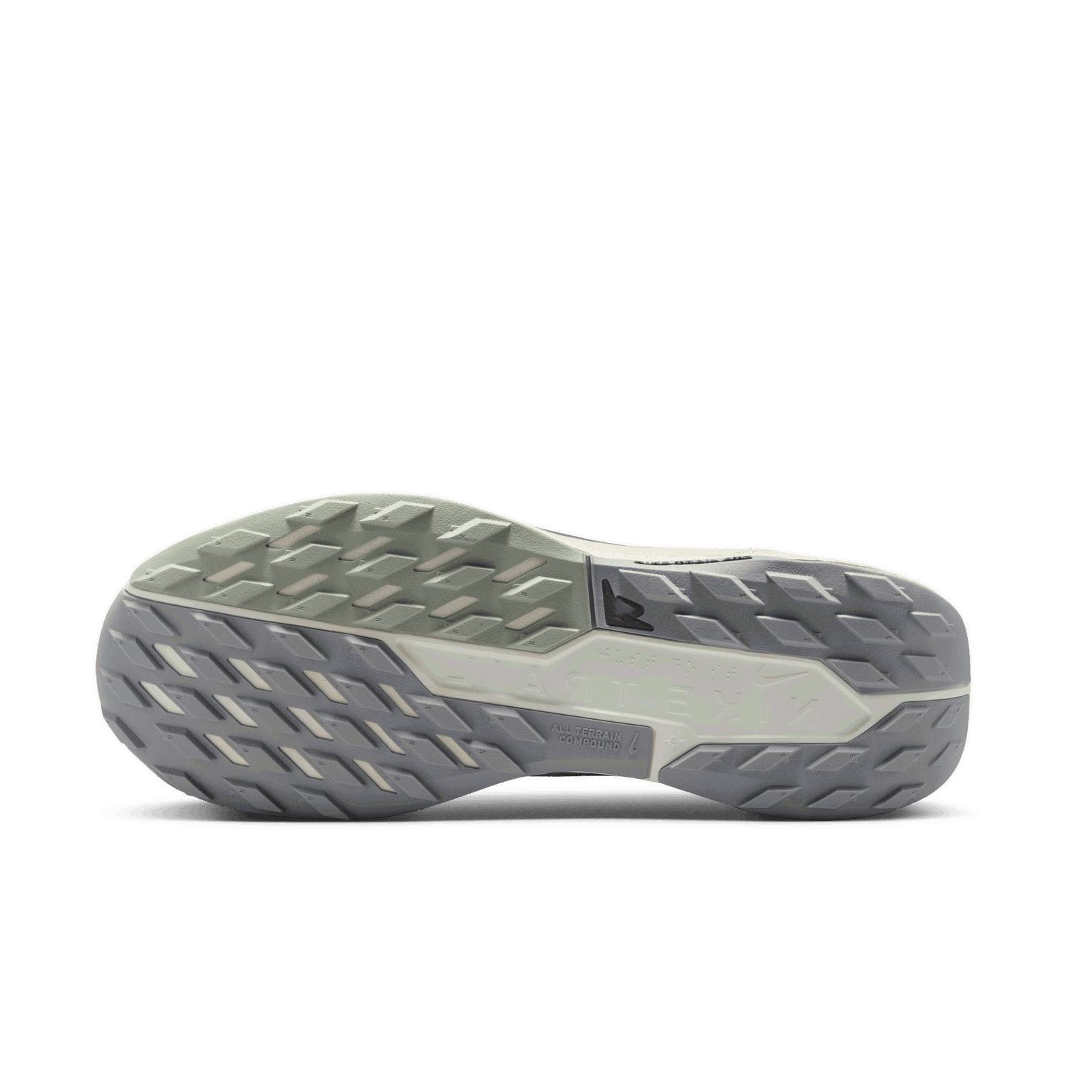 Tennarit ja kengät Nike Pegasus Trail 5 GORE-TEX Harmaa | FQ0908-006, 1