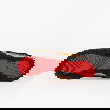 Tennarit ja kengät Nike Dunk Low Gtx Ruskea | HQ2053-700, 1