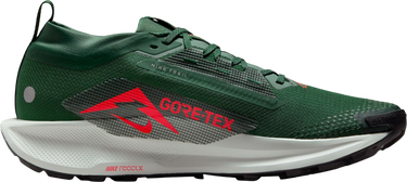 Tennarit ja kengät Nike Pegasus Trail 5 GORE-TEX Vihreä | fq0908-301, 3