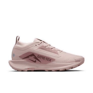 Tennarit ja kengät Nike Pegasus Trail 5 GTX Vaaleanpunainen | FQ0912-601, 1