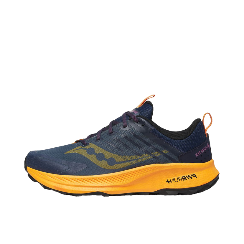 Juoksu Saucony Ride TR2 GTX Sininen | S20953-251