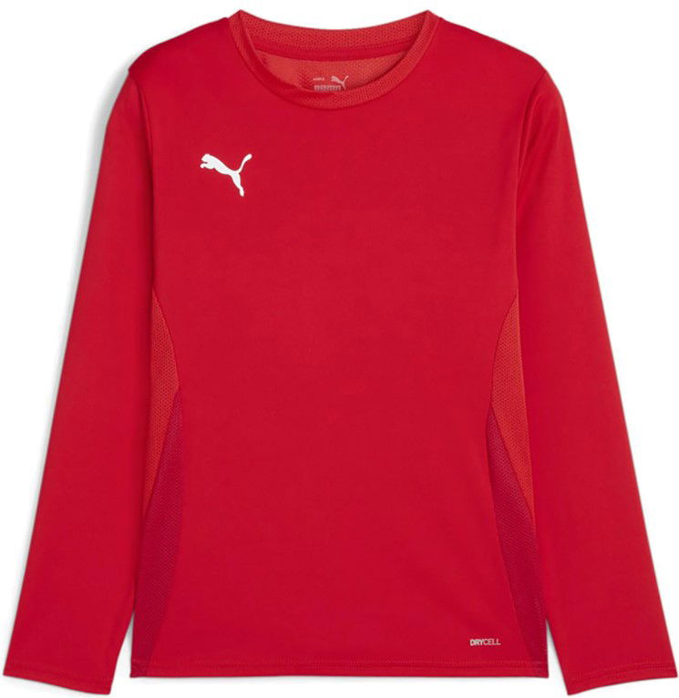 Jersey Puma teamGOAL LS Jersey Jr Long Sleeve T-Shirt Punainen | 705751-01