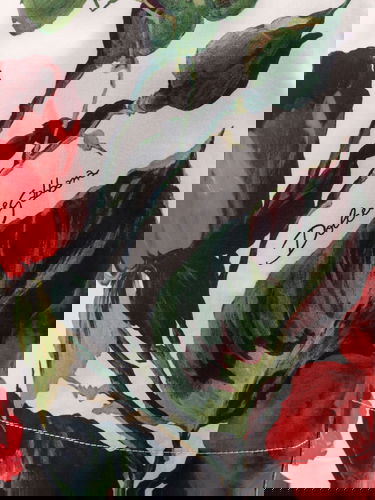 Shortsit Dolce & Gabbana Dolce & Gabbana Rose Print Shorts Monivärinen | FTC9TTHS5S2HA5KQ, 2