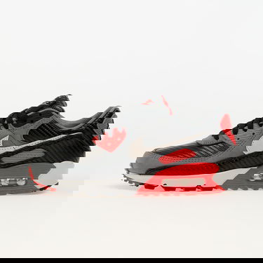 Tennarit ja kengät Nike Air Max 90 Prm Harmaa | HM9432-001, 0