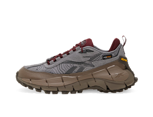 Juoksu Reebok Zig Kinetica 2.5 Edge "Pure Grey 5/ Track Grey/ Pure Grey" Harmaa | 100034215