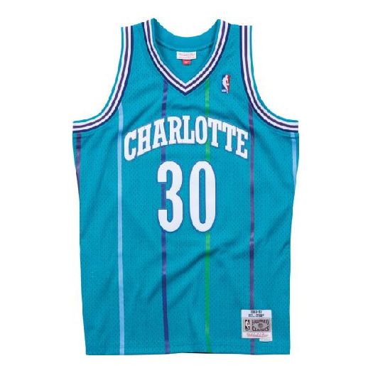 Jersey Mitchell & Ness Mitchell & Ness Charlotte Hornets Dell Curry Swingman Jersey Sininen | SMJYGS18146-CHOTEAL92DCU