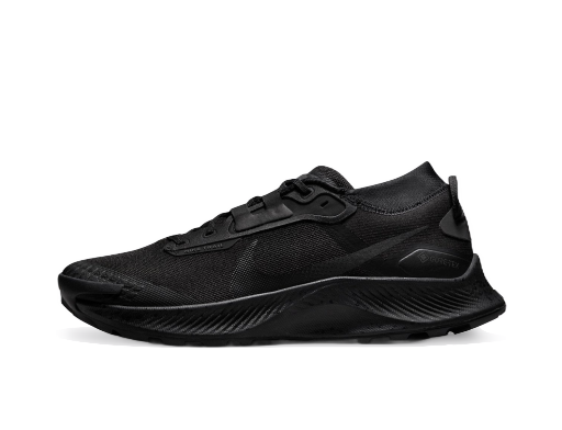 Juoksu Nike Pegasus Trail 3 GTX Musta | dc8793-001