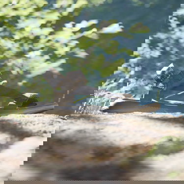 Tennarit ja kengät adidas Performance Terrex Hydroterra Light Musta | ID4273, 3