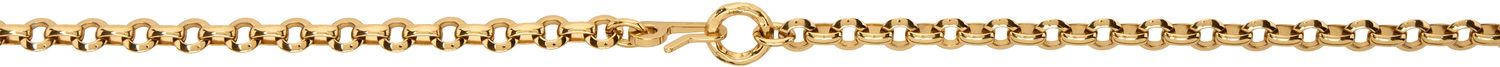 Vyöt CHLOÉ Iconic Large Belt Metallinen | CHC24AC068CB7, 1