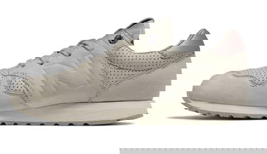 Tennarit ja kengät New Balance 520 W Harmaa | WL520GRY, 1