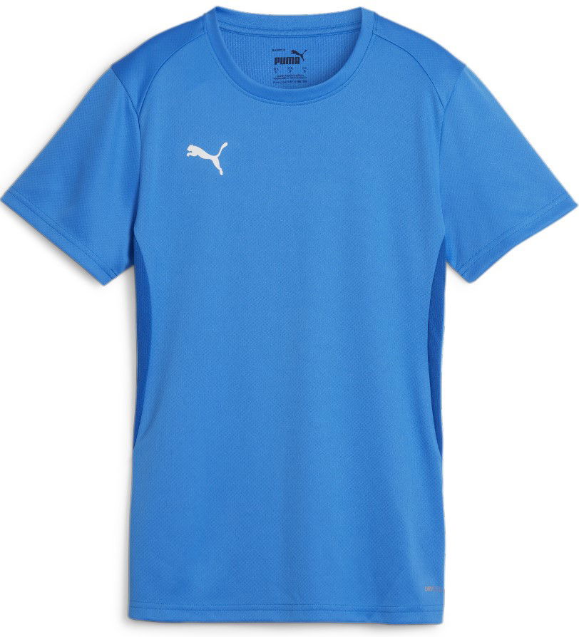 Jersey Puma teamGOAL Jersey W Sininen | 658638-02