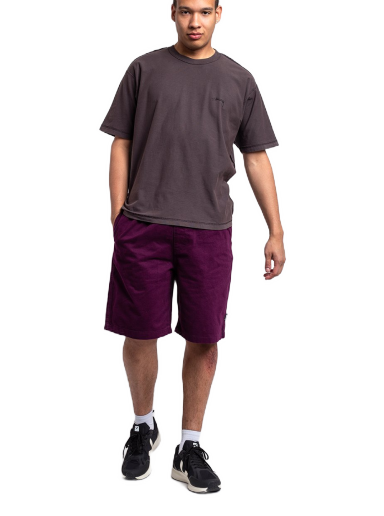 Shortsit Stüssy Brushed Beach Short Violetti | 112282