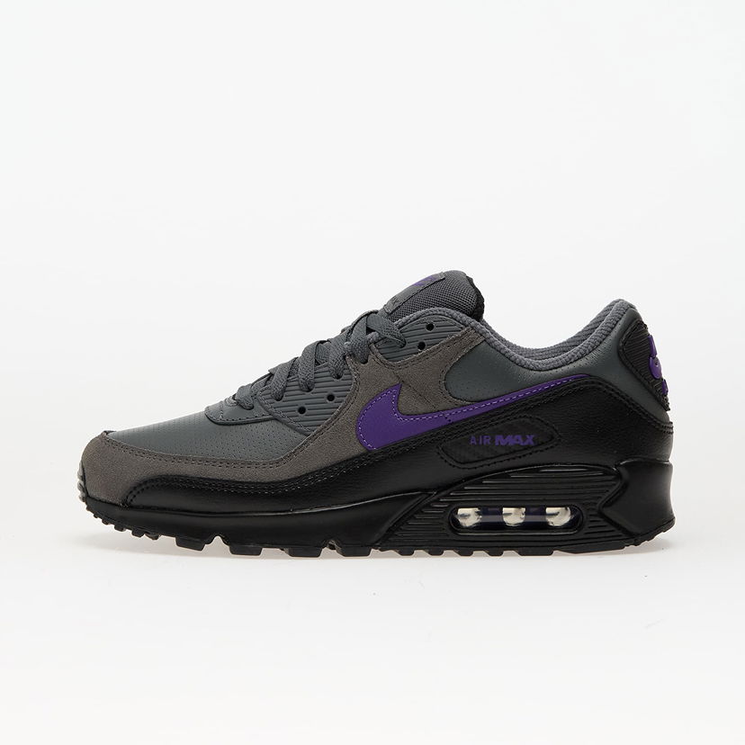 Tennarit ja kengät Nike Air Max 90 Violetti | IF0670-004
