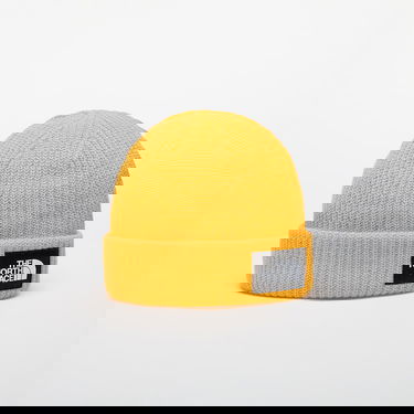 Pipo The North Face Salty Lined Beanie Keltainen | NF0A3FJW56P, 3