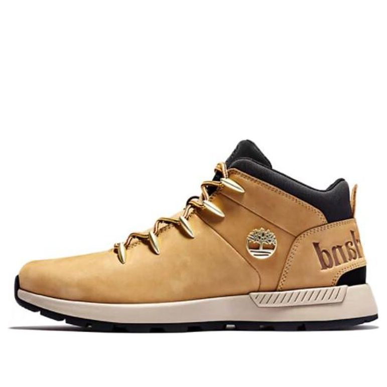 Tennarit ja kengät Timberland Sprint Trekker Hiking Beige | A1XVQ231