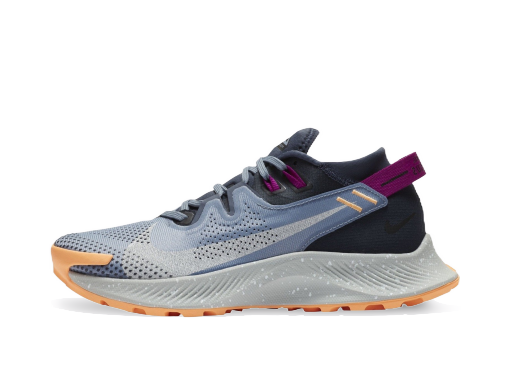 Juoksu Nike Pegasus Trail 2 W Harmaa | CK4309-401
