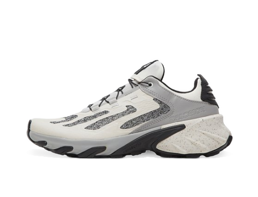 Juoksu Salomon Speedverse PRG Trainer Harmaa | L41672000