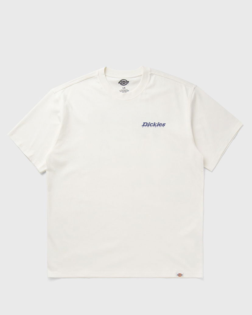 T-paita Dickies Statesville T-Shirt Valkoinen | DK0A87QPC481