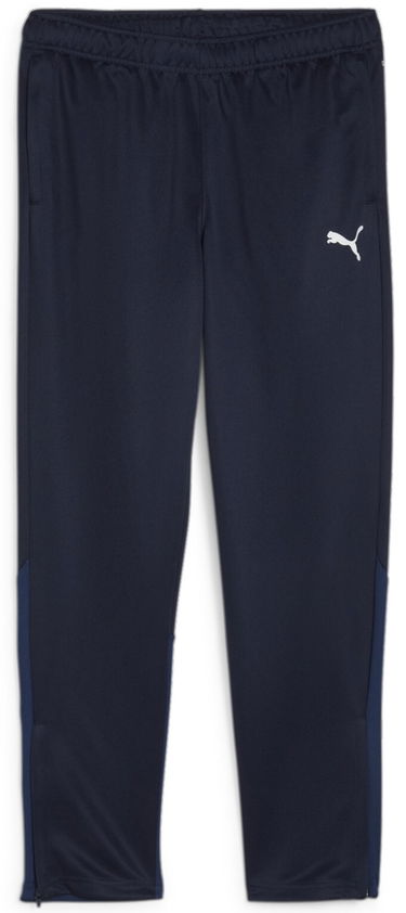 Verryttelyhousut Puma teamGOAL Training Pant Wmn Tummansininen | 658642-06, 0