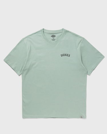 T-paita Dickies Dickies Snake Short Sleeve T-Shirt Vihreä | DK0A4Z99K361, 0
