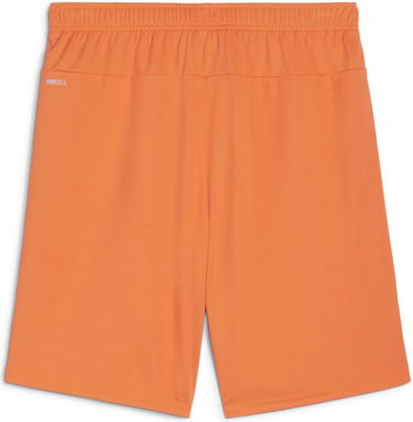 Shortsit Puma teamGOAL Shorts Oranssi | 705752-08, 1