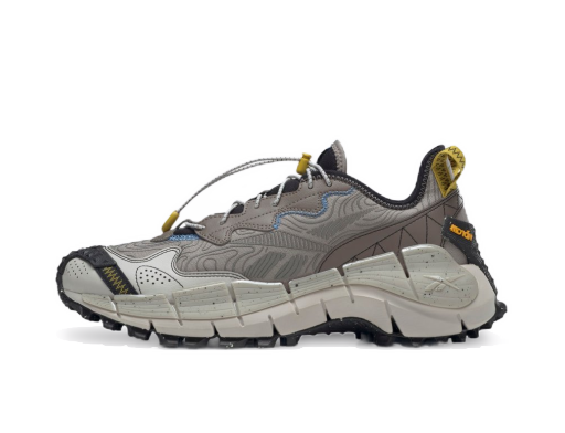 Tennarit ja kengät Reebok Zig Kinetica II Edge Harmaa | GX0117