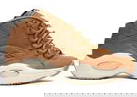 Question Mid SNS AI Brown