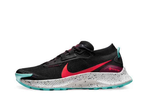 Juoksu Nike Pegasus Trail 3 GTX Musta | dc8793-002