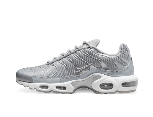 Tennarit ja kengät Nike Air Max Plus Harmaa | FJ1012-095