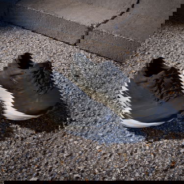 Tennarit ja kengät adidas Performance ADIZERO ADIOS 9 Musta | ih5751, 7