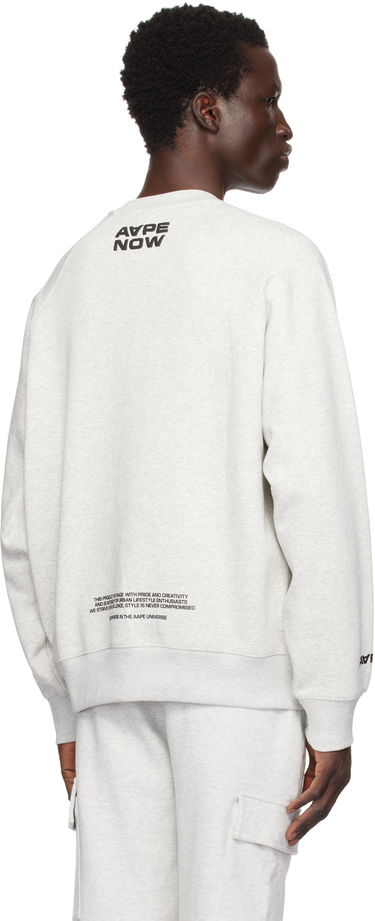 Huppari AAPE by A Bathing Ape AAPE by A Bathing Ape 'AAPE Now' Raglan Sweatshirt Harmaa | AAPSWMB319XANWH2, 2