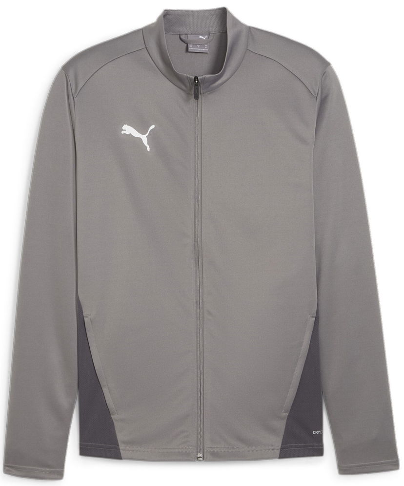 Takki Puma teamGOAL Training Jacket Harmaa | 658633-13