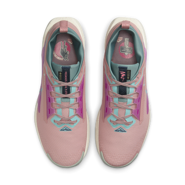 Tennarit ja kengät Nike Pegasus Trail 5 GORE-TEX Vaaleanpunainen | FQ0908-600, 1