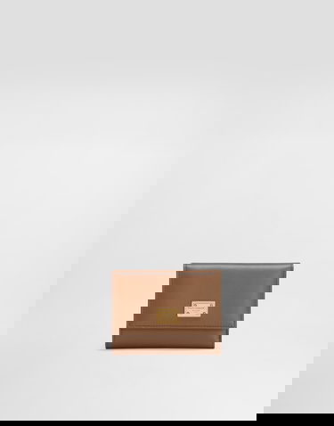 Lompakko Dolce & Gabbana Dolce & Gabbana Plongé Calfskin Small Wallet Ruskea | BI0770A9S258Z093, 0