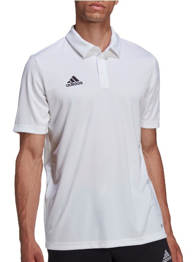 Poolopaita adidas Originals Entrada 22 Polo Valkoinen | hc5067
