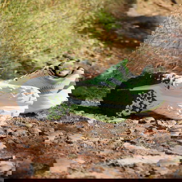 Tennarit ja kengät adidas Performance adidas TERREX Boty TERREX Soulstride Flow Trail Running Vihreä | IG8026, 4