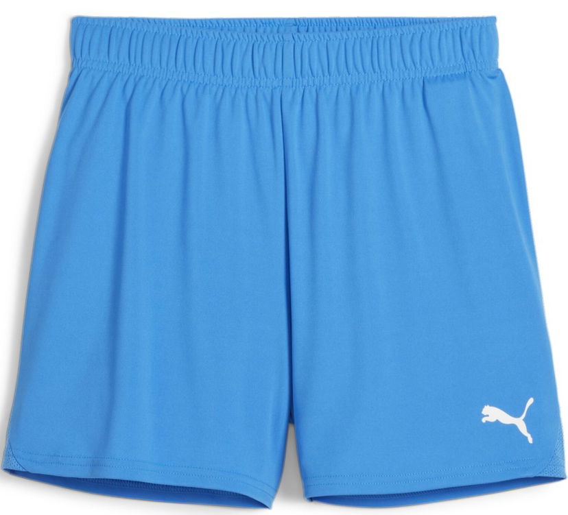 Shortsit Puma teamGOAL Handball Shorts Sininen | 706019-02