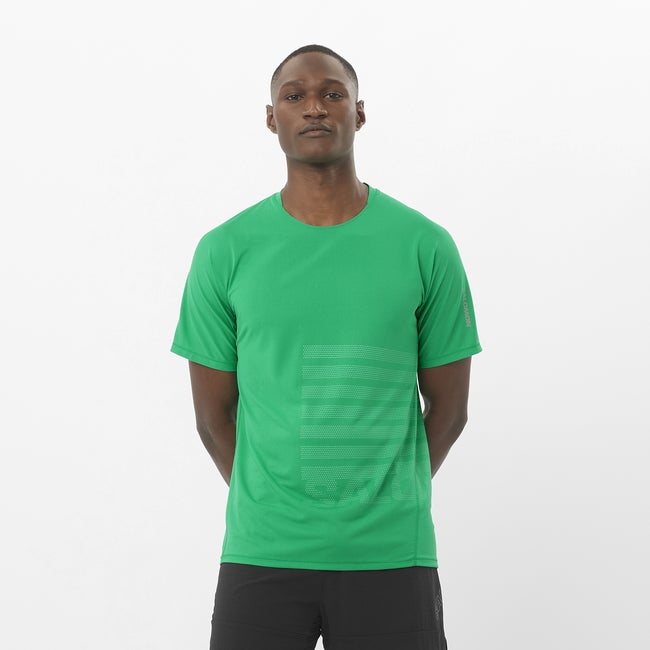 T-paita Salomon Aero Graphic T-Shirt Vihreä | LC2694700