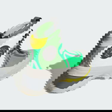 Tennarit ja kengät adidas Performance Stella McCartney x Terrex Hiking Monivärinen | IF6070, 5