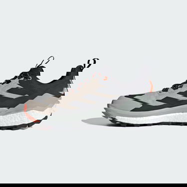 Tennarit ja kengät adidas Performance Terrex Free Hiker 2.0 Low GORE-TEX Beige | IG5459, 6