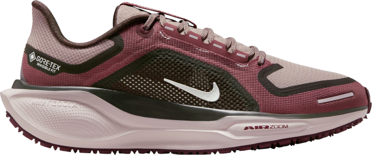 Tennarit ja kengät Nike Pegasus 41 GORE-TEX Burgundia | fq1357-200, 0