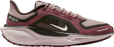 Tennarit ja kengät Nike Pegasus 41 GORE-TEX Burgundia | fq1357-200, 0