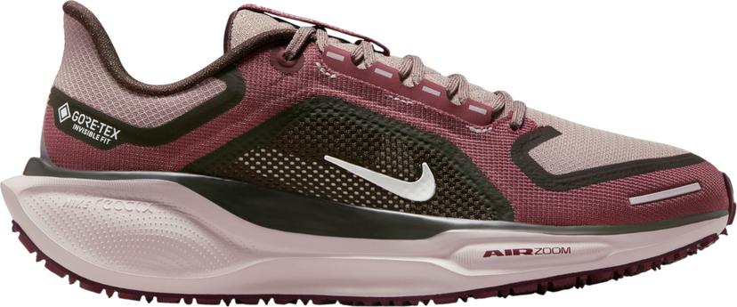 Tennarit ja kengät Nike Pegasus 41 GORE-TEX Burgundia | fq1357-200