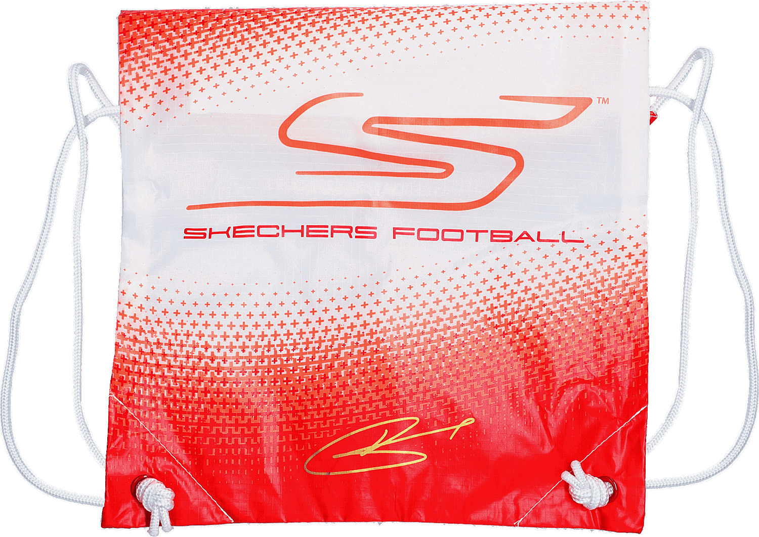 Tennarit ja kengät Skechers SKX 1.5 Elite FG Oranssi | 252023-crl, 1