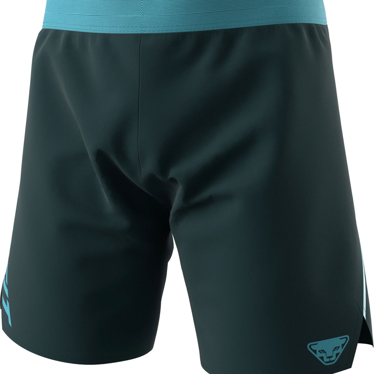 Shortsit Dynafit ALPINE SHORTS Running Shorts Vihreä | 08-0000071645-3011, 0