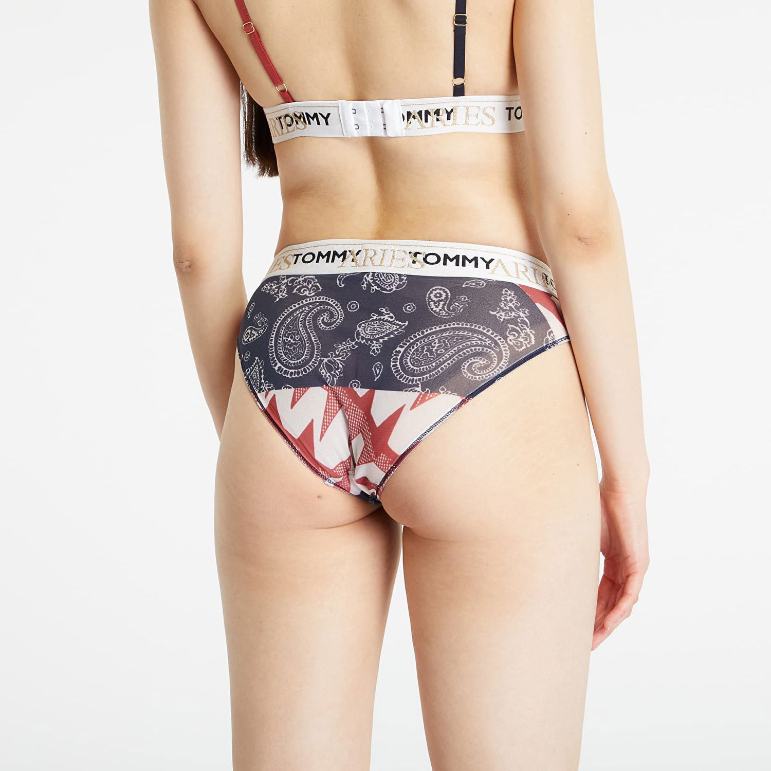 Pikkuhousut Tommy Hilfiger x Aries Sheer Mid Rise Logo Print Briefs Monivärinen | UW0UW04662 0KD, 1