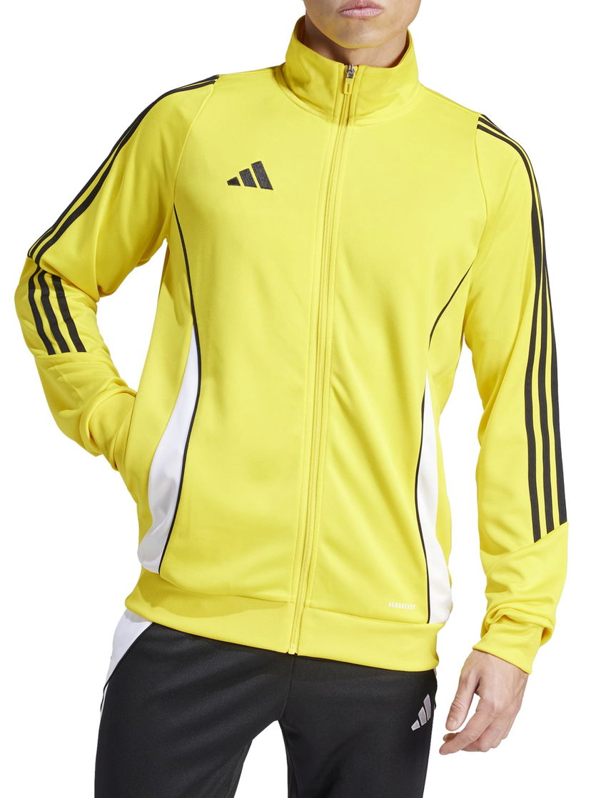 Takki adidas Originals adidas TIRO24 TRJKT Keltainen | ir9493