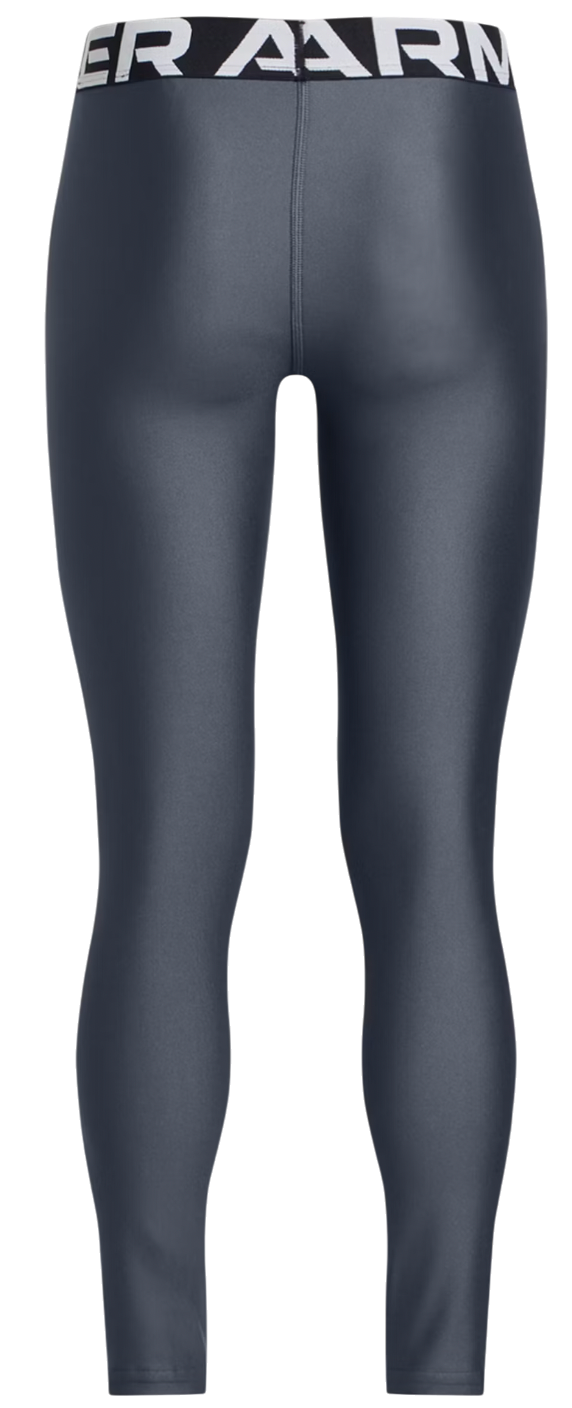 Leggingsit Under Armour Under Armour HG Leggings Harmaa | 1390069-044, 1